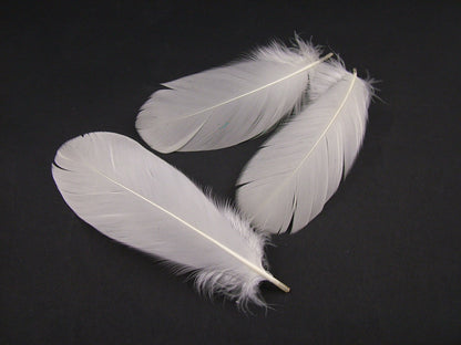 Goose Nagoire Feathers