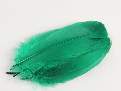 Goose Nagoire Feathers (12-18cm) Emerald