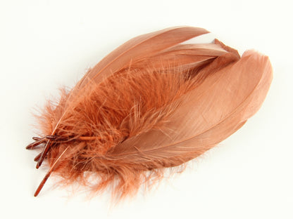 Goose Nagoire Feathers (12-18cm) Rust