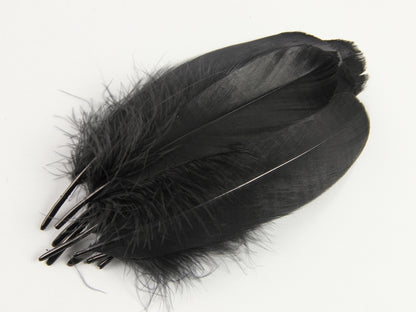 Goose Nagoire Feathers (12-18cm) Black