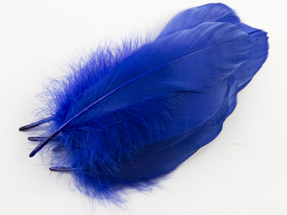 Goose Nagoire Feathers (12-18cm) Royal Blue