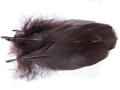 Goose Nagoire Feathers (12-18cm) Chocolate