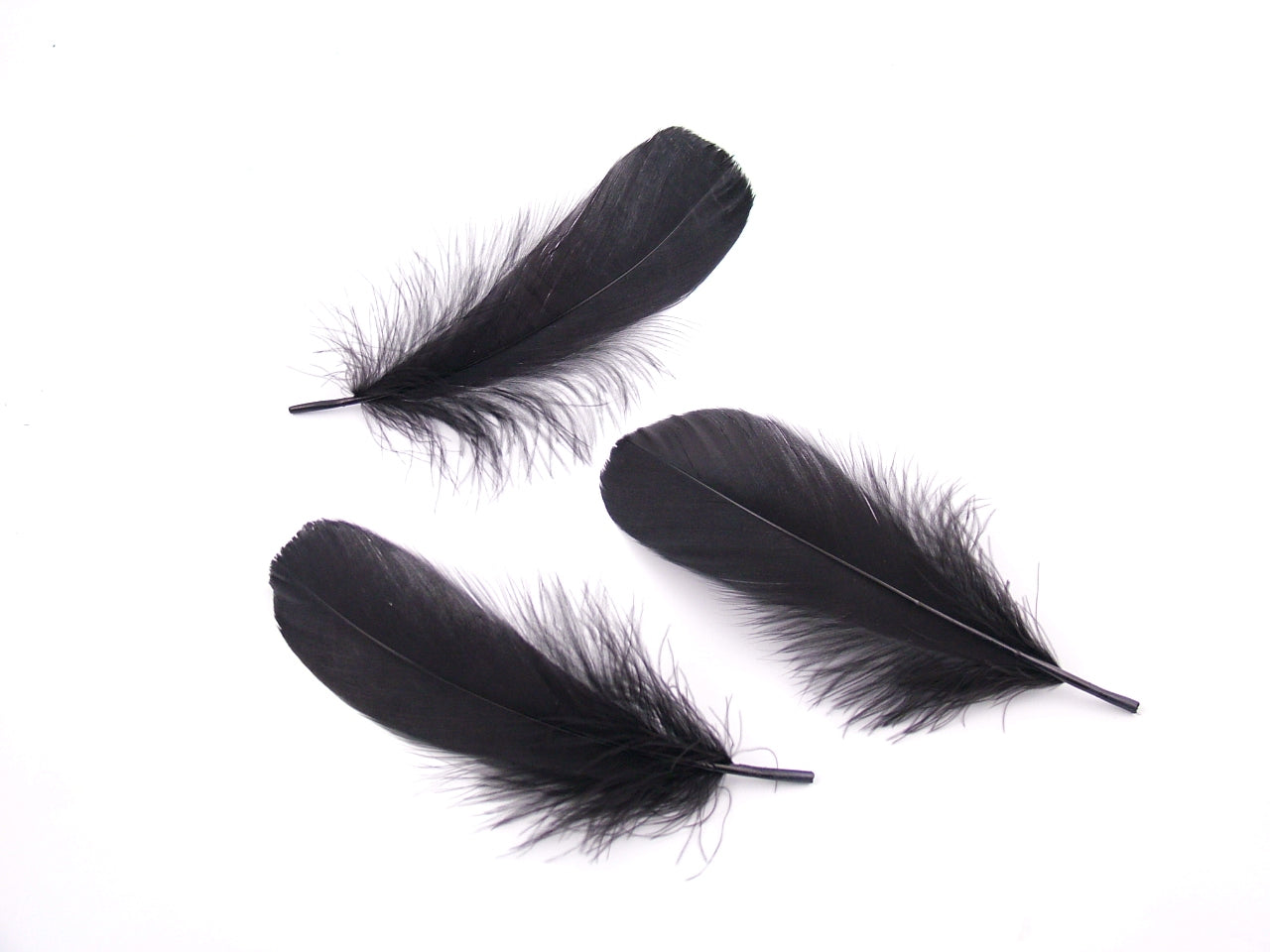 Goose Nagoire Feathers