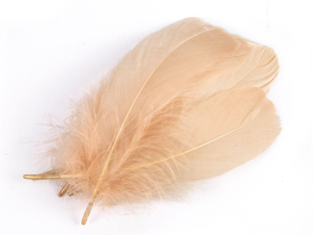 Goose Nagoire Feathers (12-18cm) Honey Beige