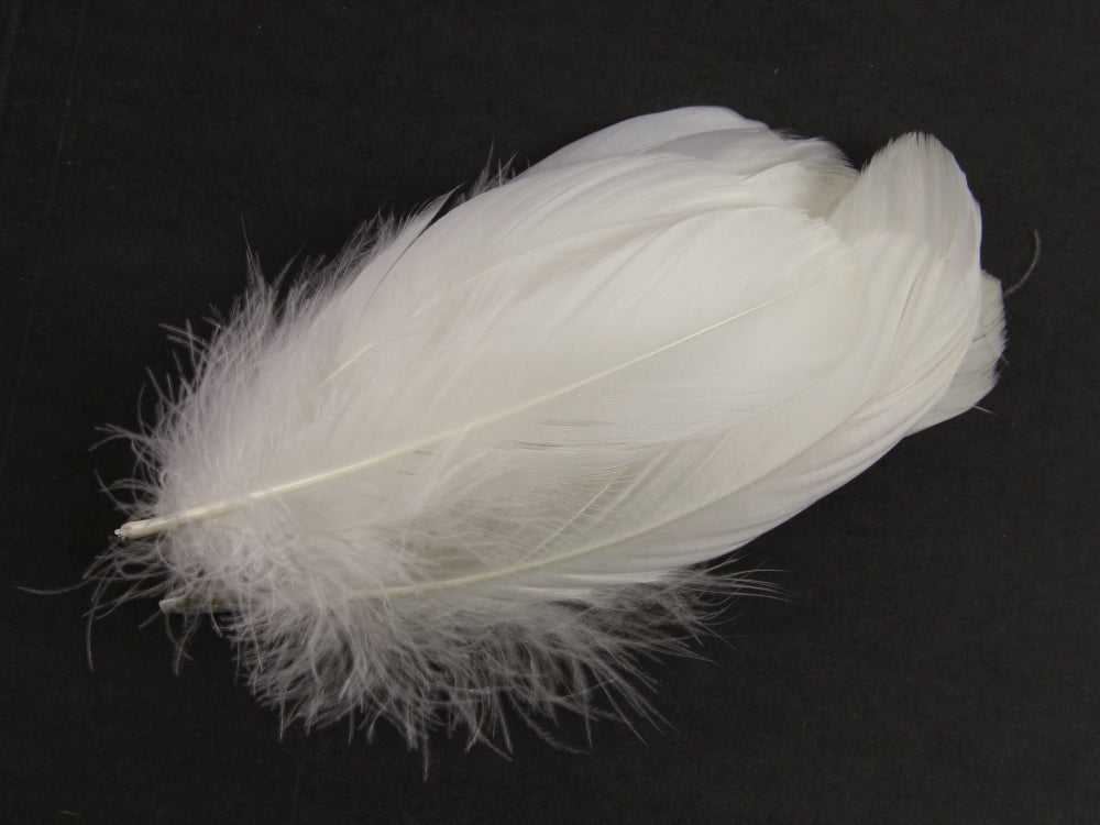 Goose Nagoire Feathers (12-18cm) Ivory