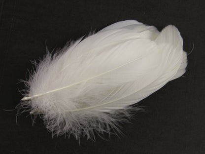 Goose Nagoire Feathers (12-18cm) Ivory