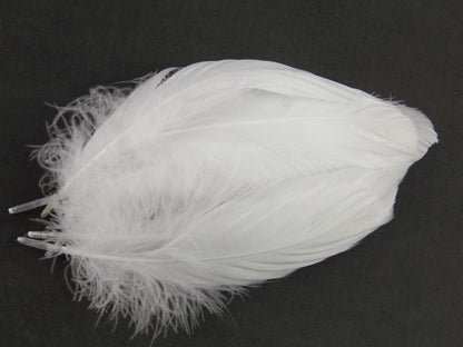 Goose Nagoire Feathers (12-18cm) White