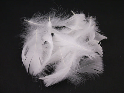 Goose Coquille Feathers Bulk
