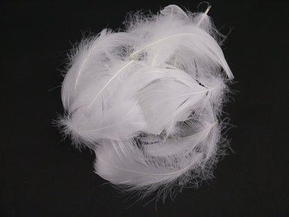 Goose Coquille Feathers Bulk