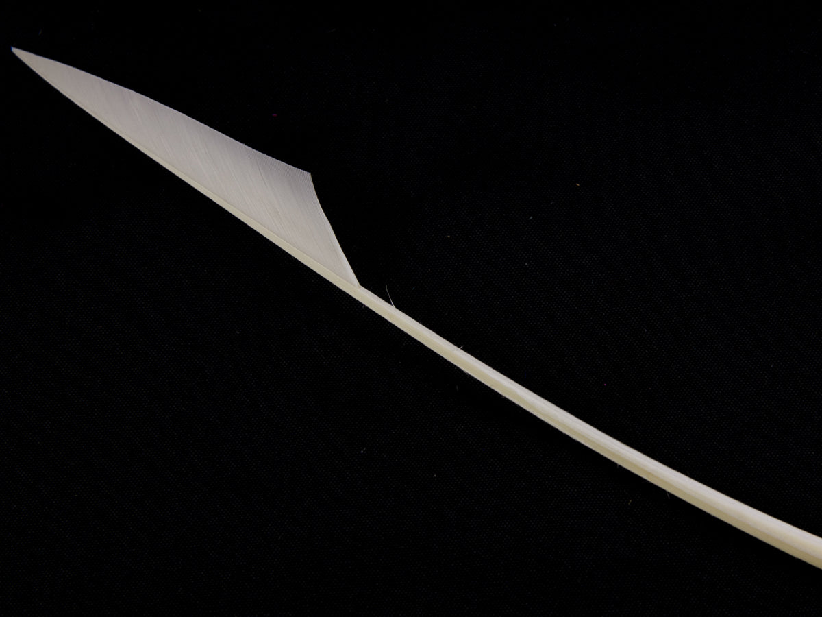 Cut Shaped Goose Spear Feather Ivory