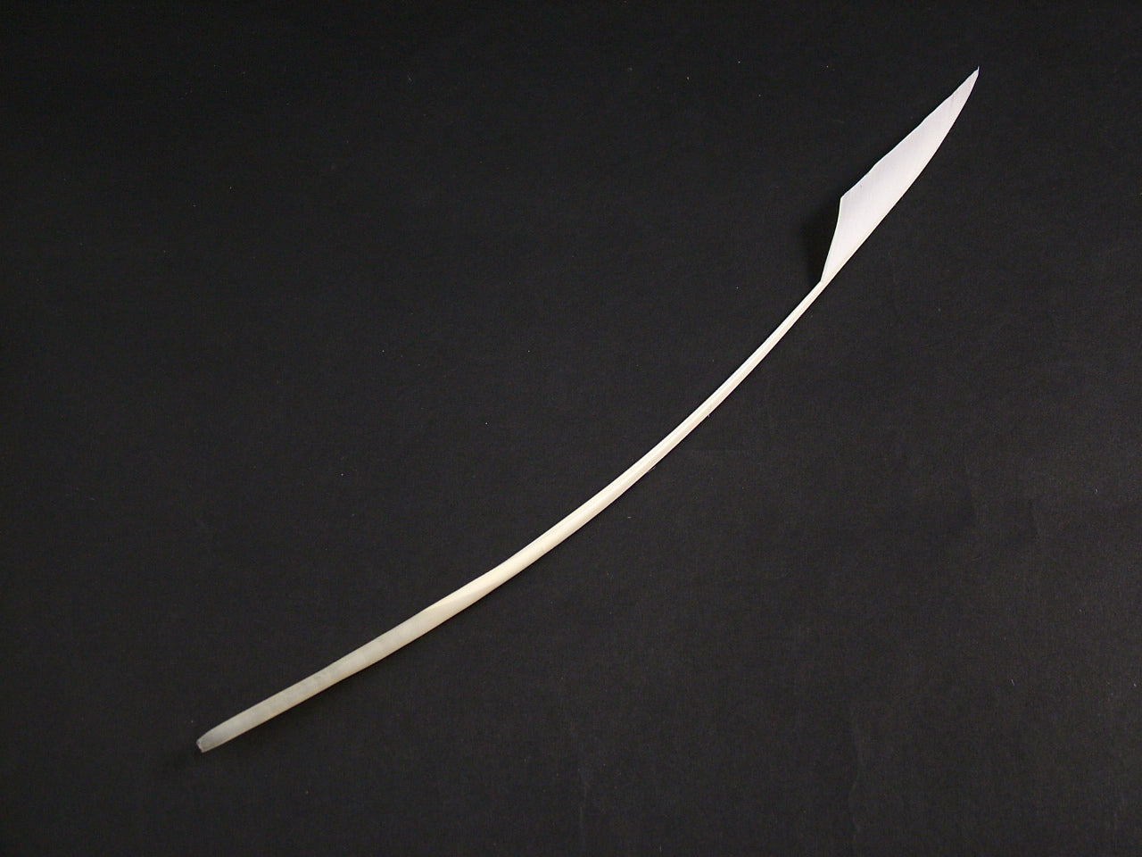 GSPEAR4