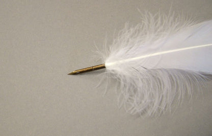 White Goose pen