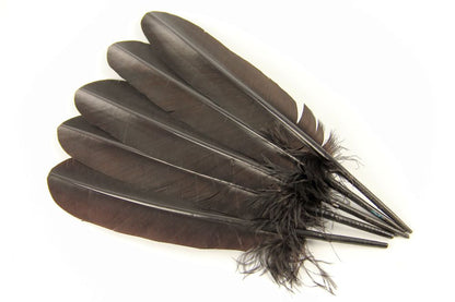 Turkey Quill Feather (25-30cm) Chocolate
