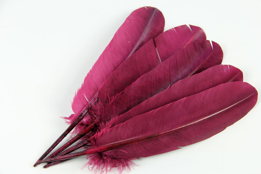 Turkey Quill Feather (25-30cm) Fuchsia