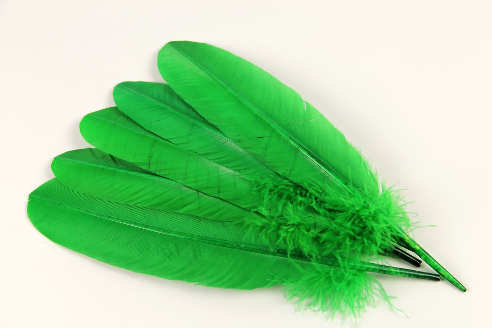 Turkey Quill Feather (25-30cm) Emerald