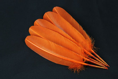 Turkey Quill Feather (25-30cm) Orange