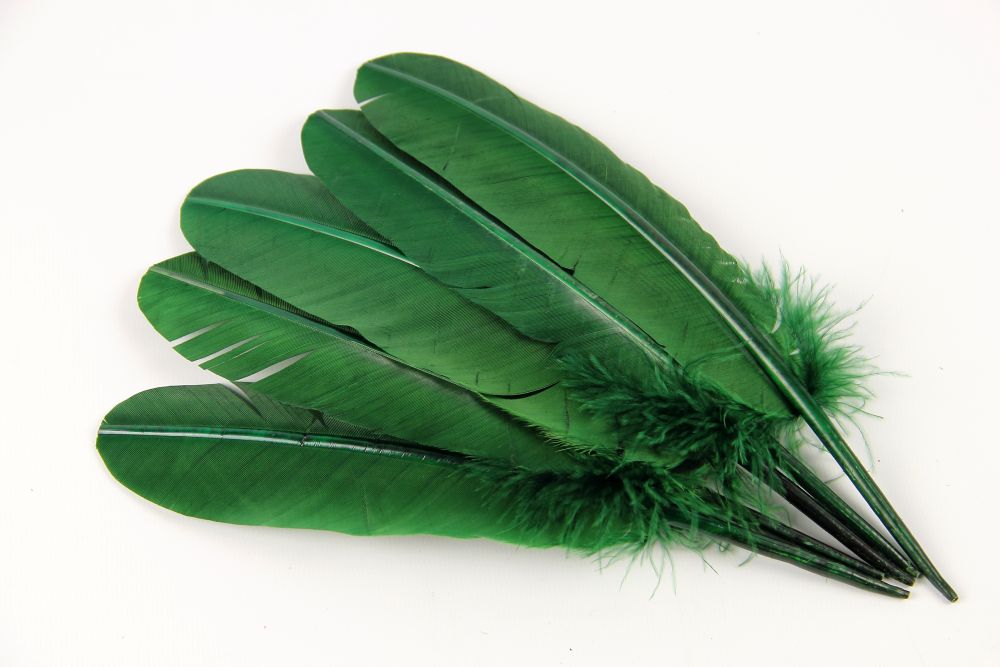 Turkey Quill Feather (25-30cm) Moss Green