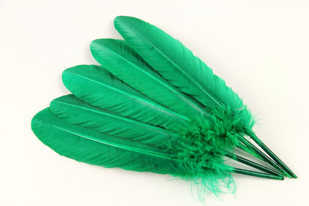 Turkey Quill Feather (25-30cm) Jade