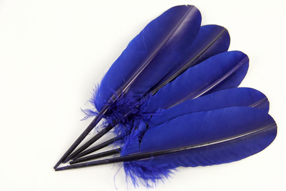 Turkey Quill Feather (25-30cm) Royal Blue