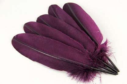 Turkey Quill Feather (25-30cm) Grape