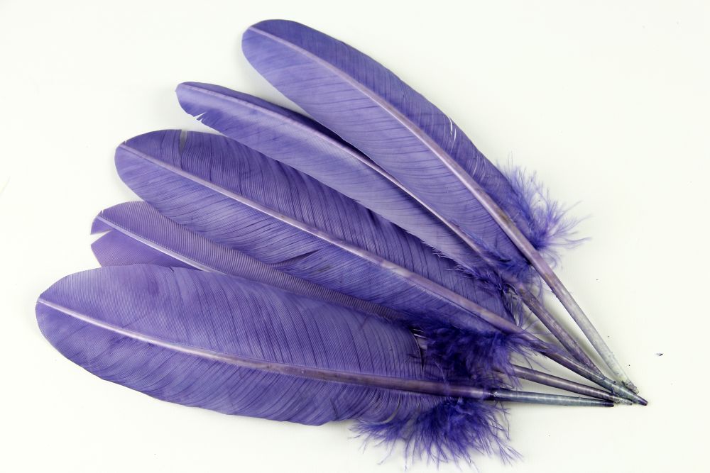 Turkey Quill Feather (25-30cm) Lilac