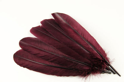 Turkey Quill Feather (25-30cm) Burgundy