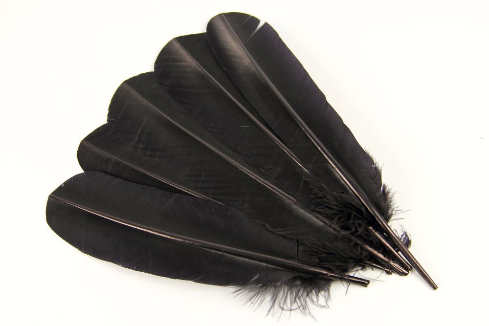Turkey Quill Feather (25-30cm) Black