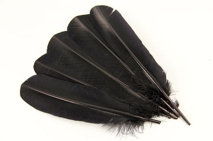 Turkey Quill Feather (25-30cm) Black