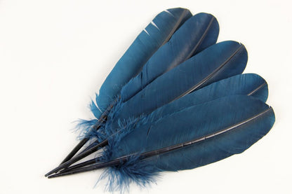 Turkey Quill Feather (25-30cm) Deep Turquoise