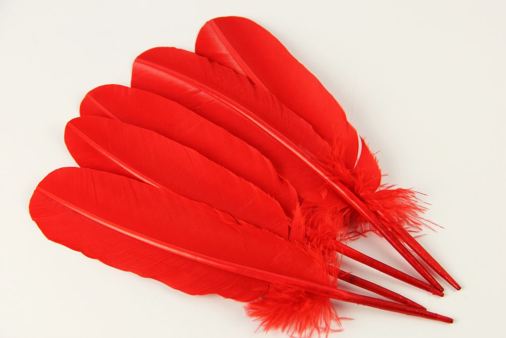 Turkey Quill Feather (25-30cm) Bright Red