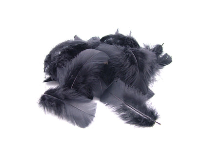 Turkey Coquille Feathers Bulk