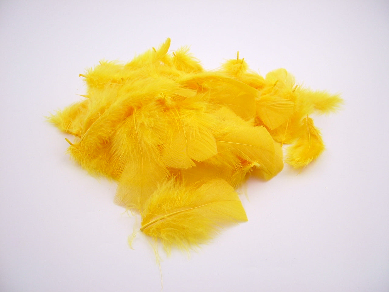 Turkey Coquille Feathers Bulk