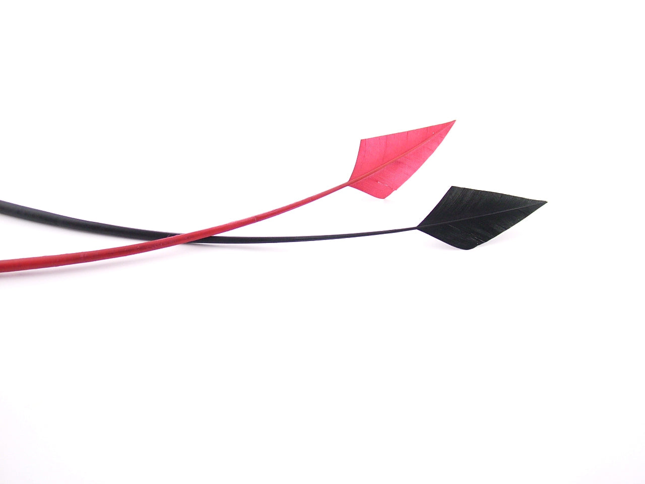Turkey Arrowhead