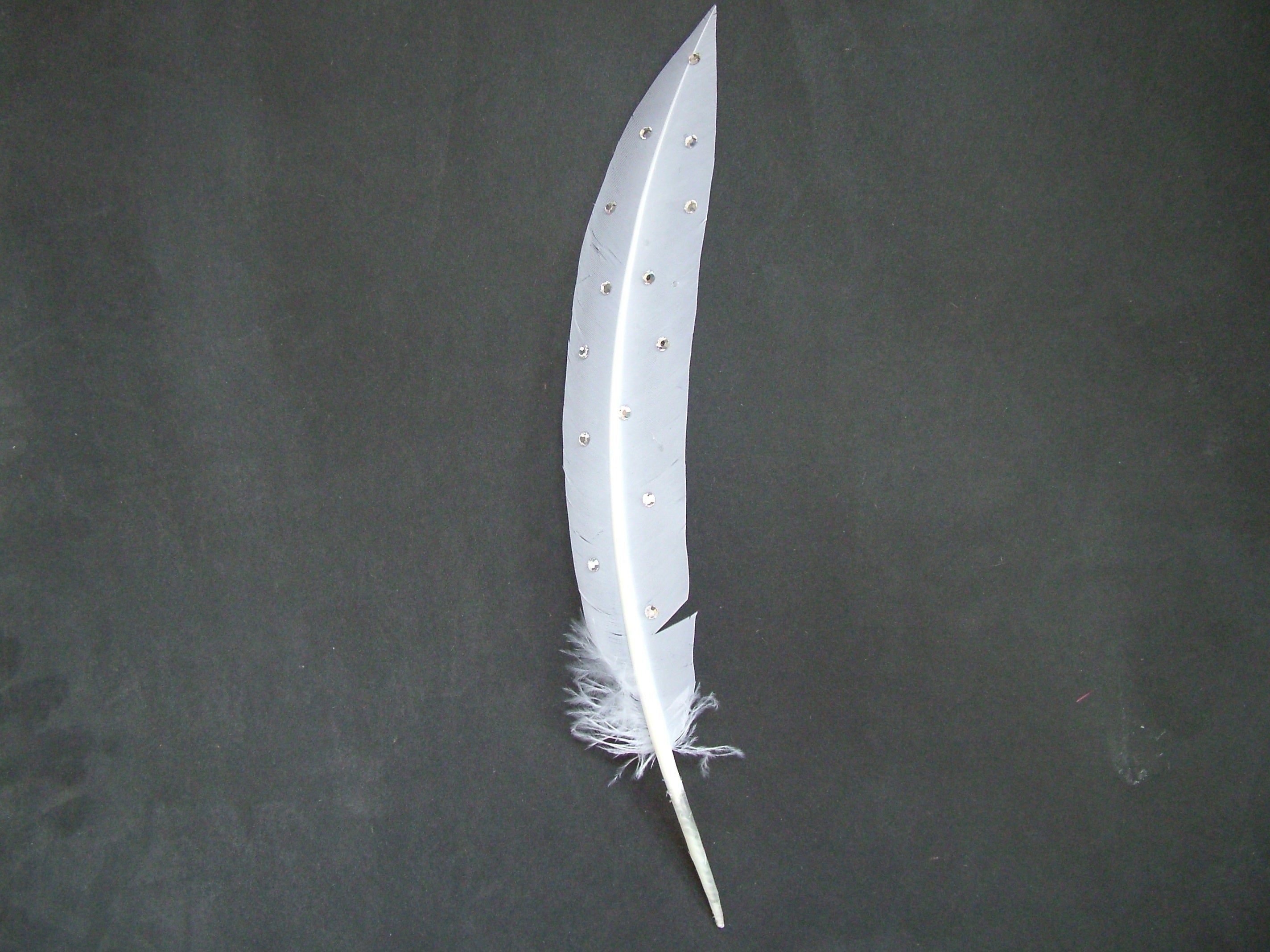 goose feather with jewels
