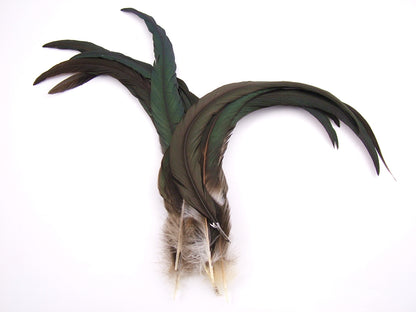 Natural Bronze Coque Feathers
