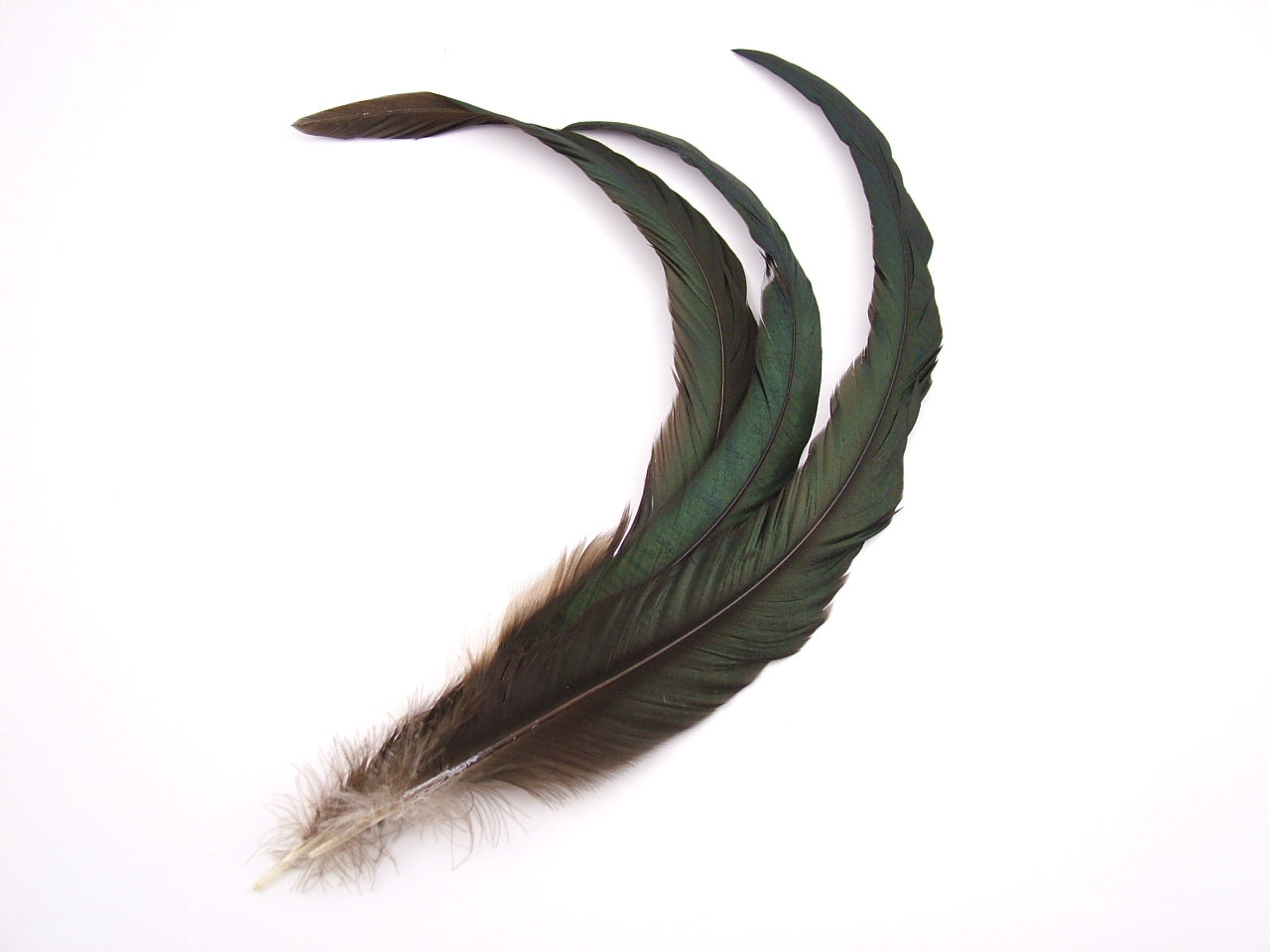 Natural Bronze Coque Feathers