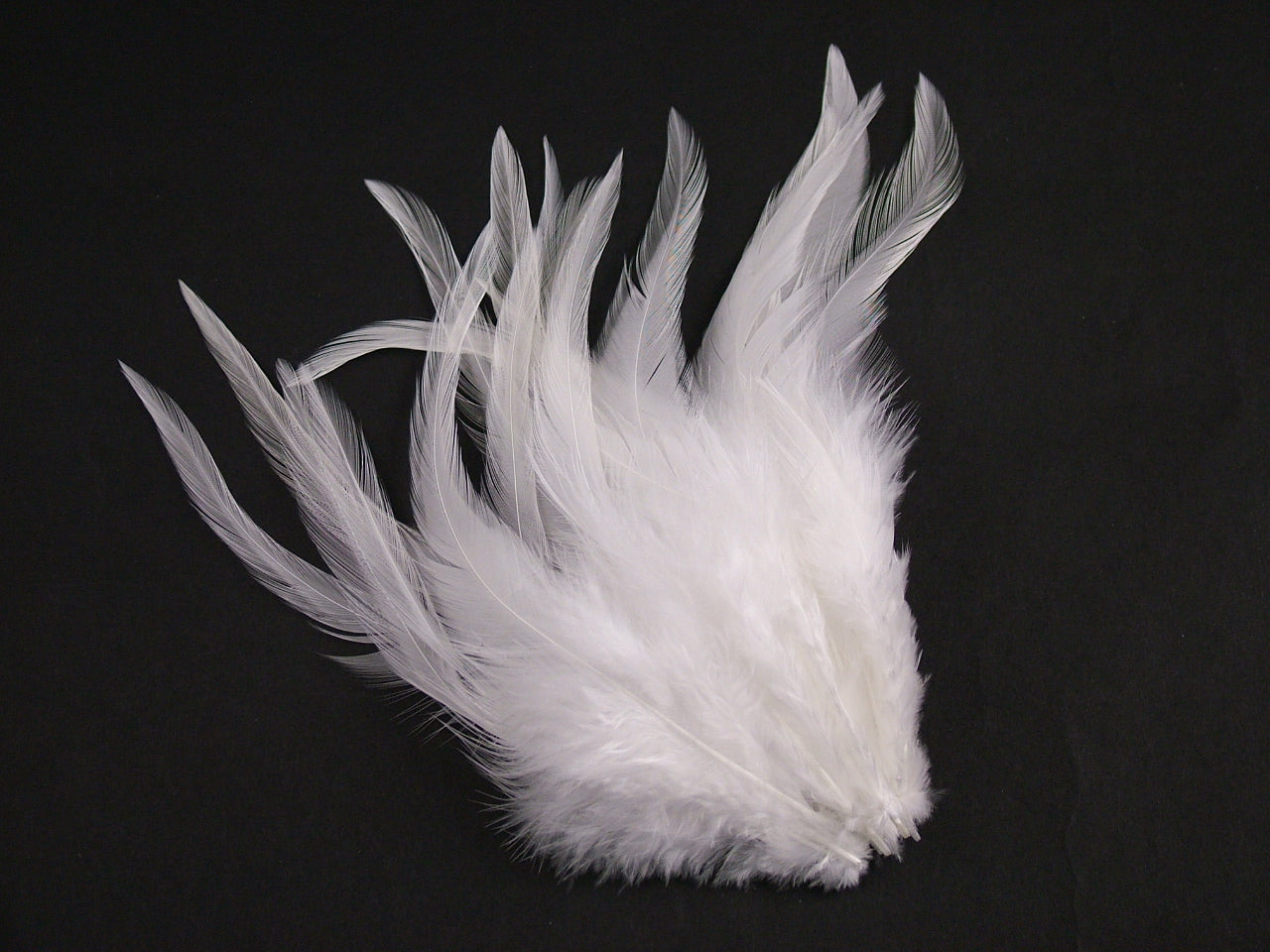 Hackle Feathers