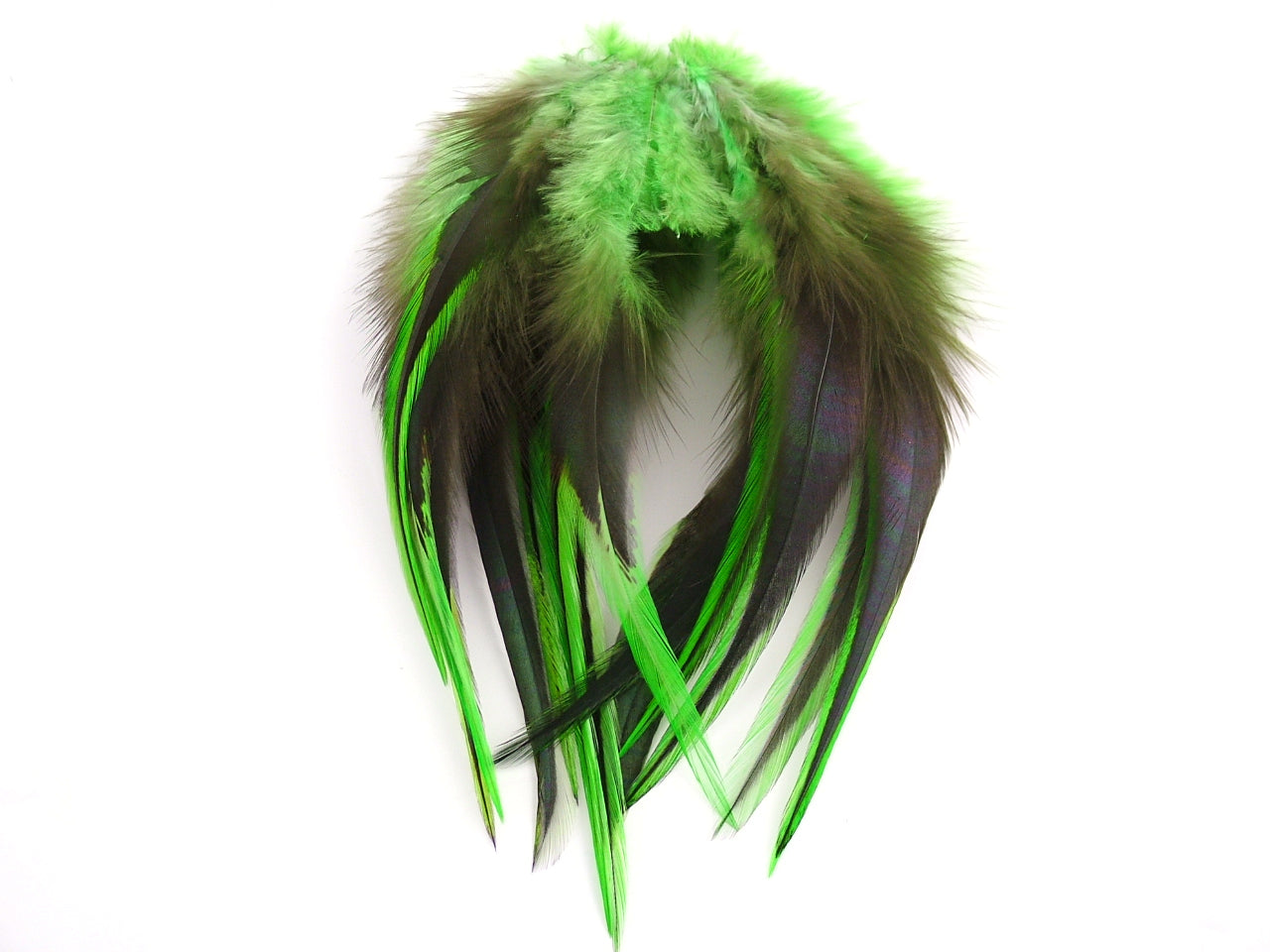 badger hackle feathers