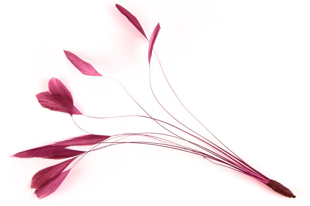 Stripped Coque Mount Fuchsia