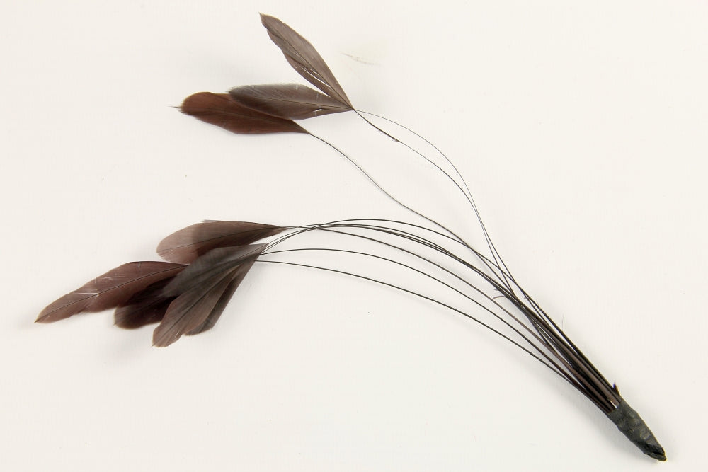 Stripped Coque Mount Chocolate