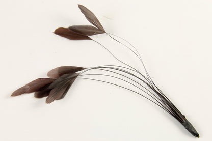 Stripped Coque Mount Chocolate