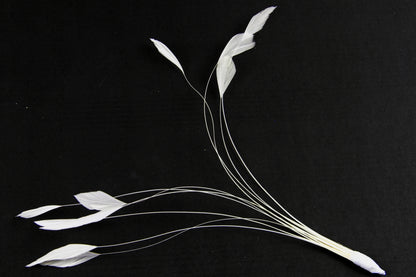 Stripped Coque Mount Ivory