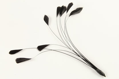 Stripped Coque Mount Black
