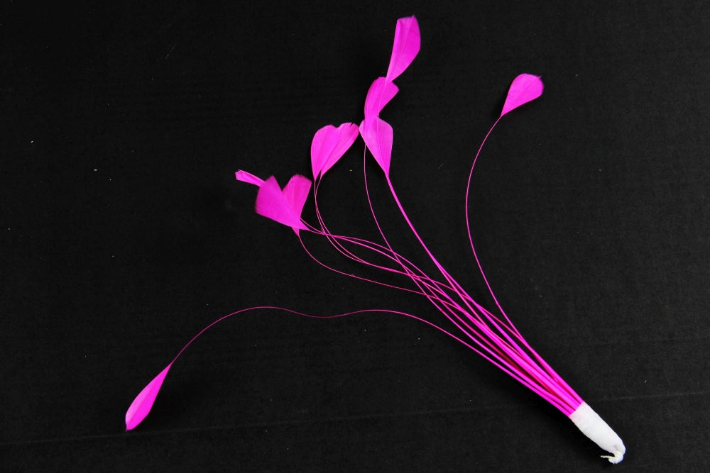 Stripped Coque Mount Shocking Pink
