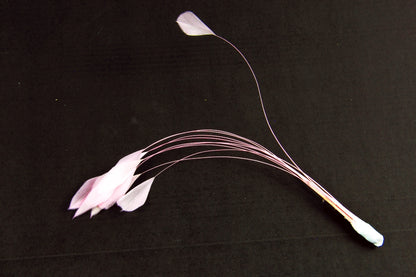 Stripped Coque Mount Baby Pink