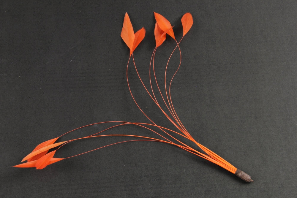 Stripped Coque Mount Orange