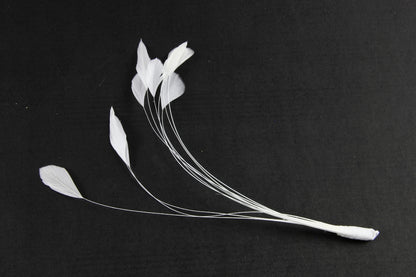 Stripped Coque Mount White