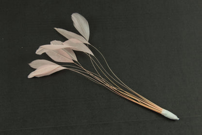 Stripped Coque Mount Peach