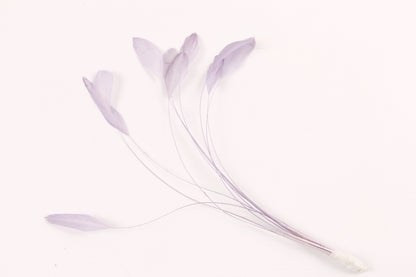 Stripped Coque Mount Lilac