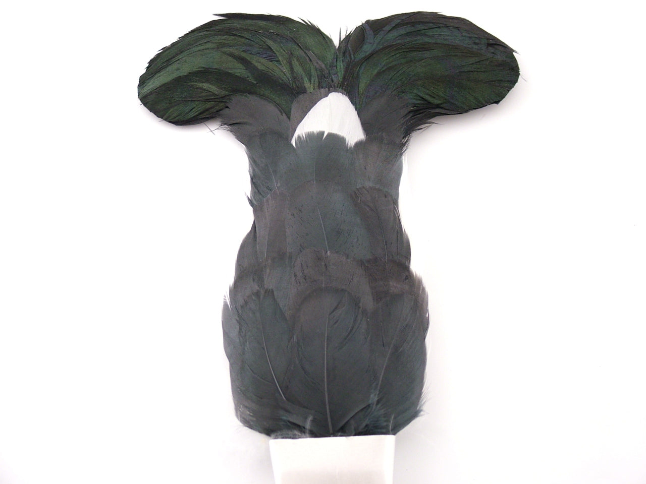 Blackcock Feather Plume